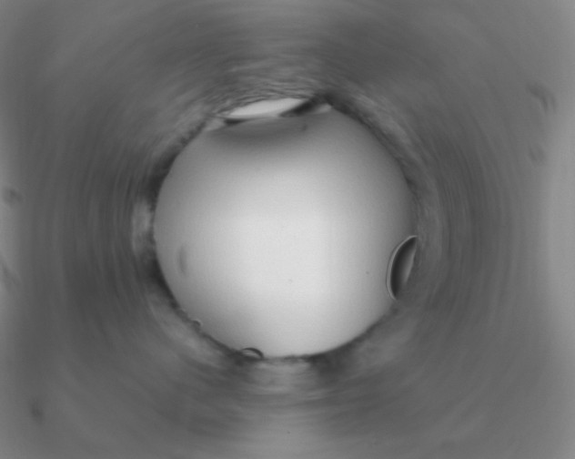 X0000090620480200708071228