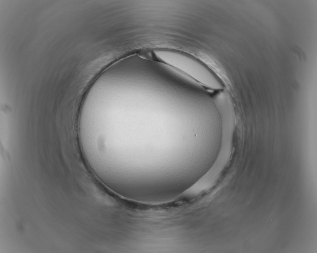 X0000090620481200708071228