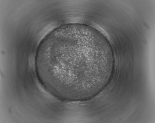 X0000090620482200708071228