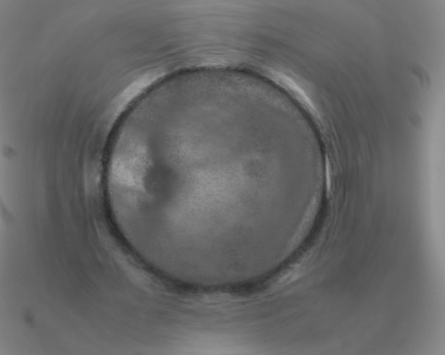 X0000090620483200708071228