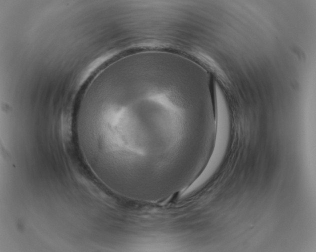 X0000090620484200708071228