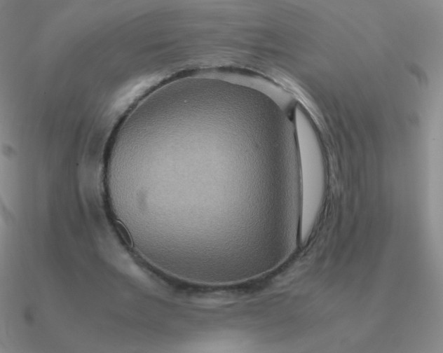 X0000090620485200708071228