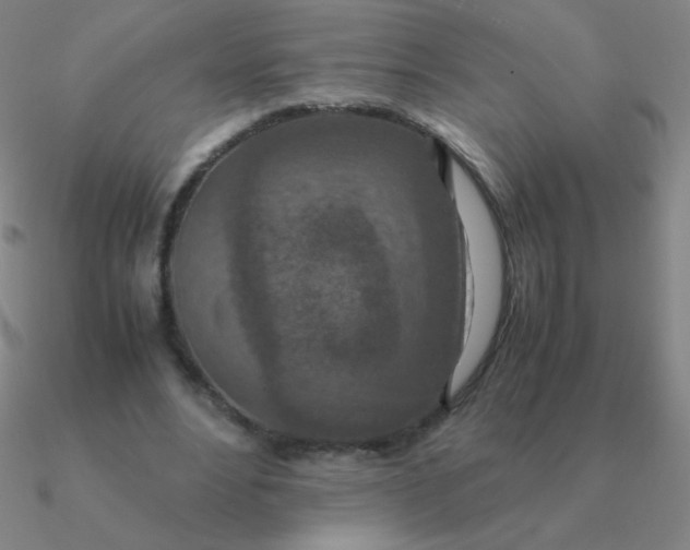 X0000090620488200708071228