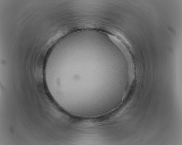 X0000090620489200708071228