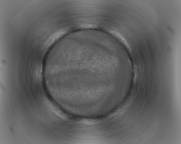 X0000090620490200708071228