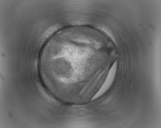 X0000090620491200708071228