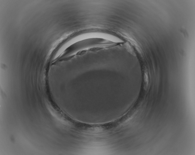 X0000090620492200708071228