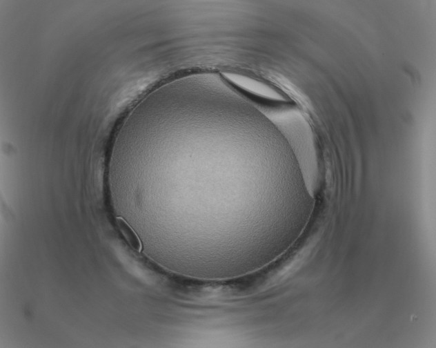 X0000090620493200708071228