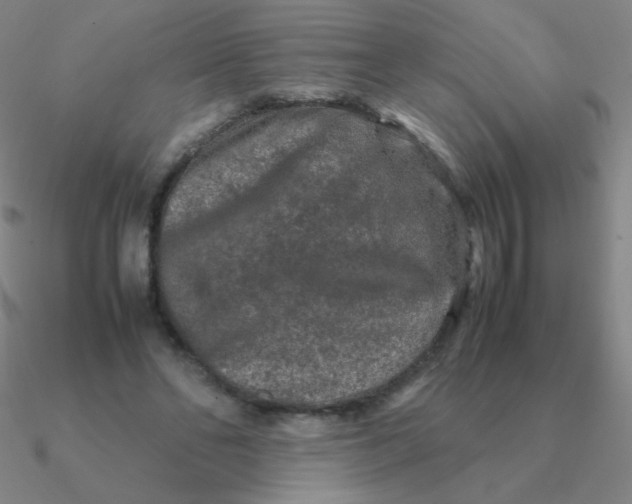 X0000090620494200708071228