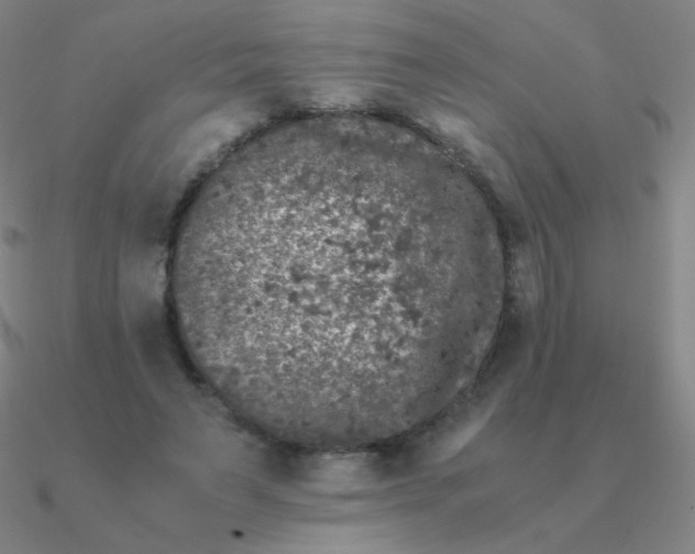 X0000090620495200708071228