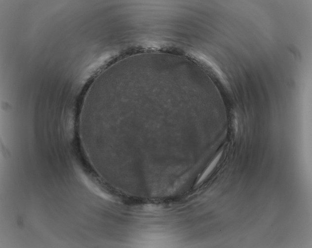 X0000090620496200708071228