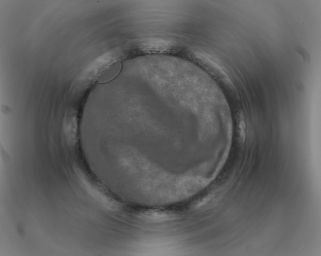 X0000090620498200708071228