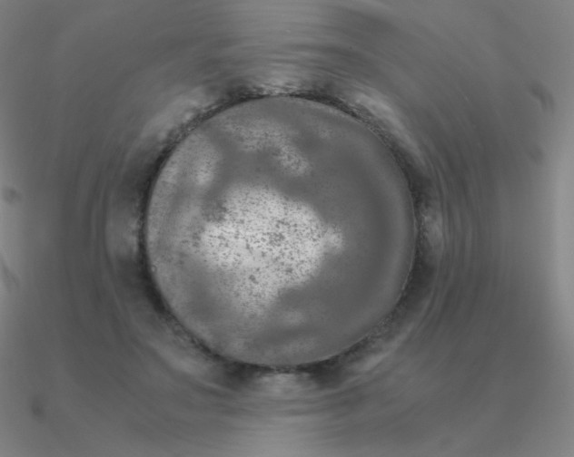 X0000090620499200708071228