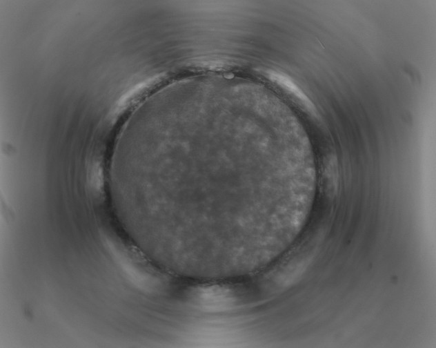 X0000090620500200708071228