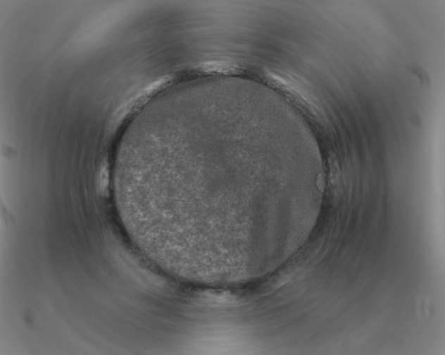 X0000090620502200708071228