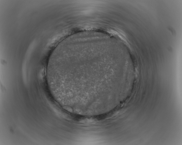 X0000090620503200708071228