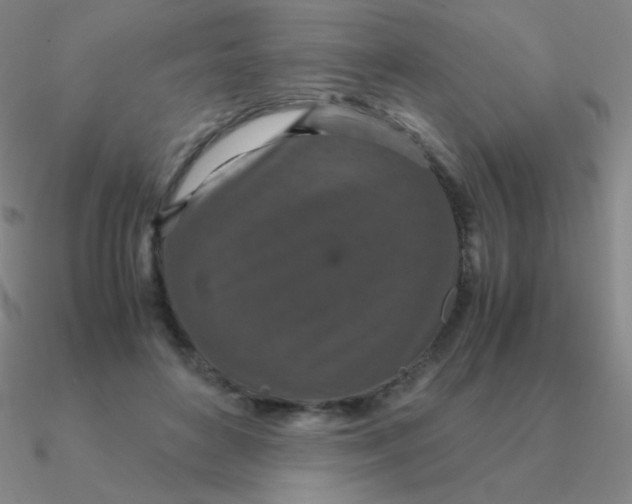 X0000090620504200708071228