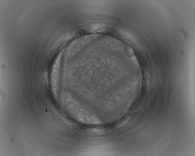 X0000090620506200708071228