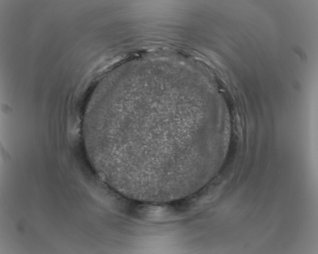 X0000090620507200708071228