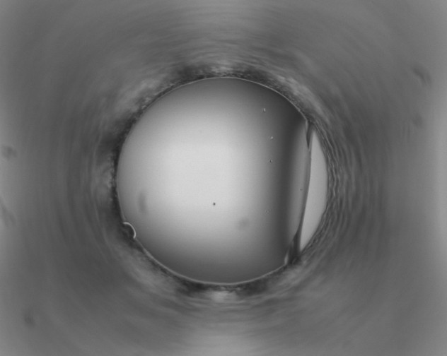 X0000090620509200708071227