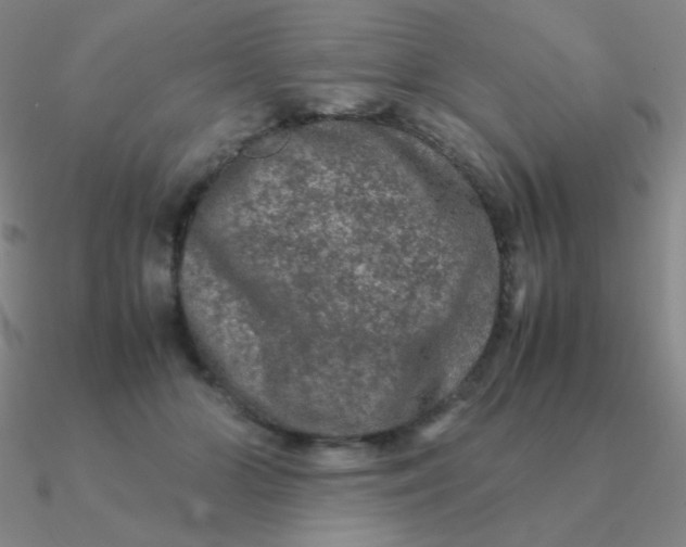 X0000090620510200708071227