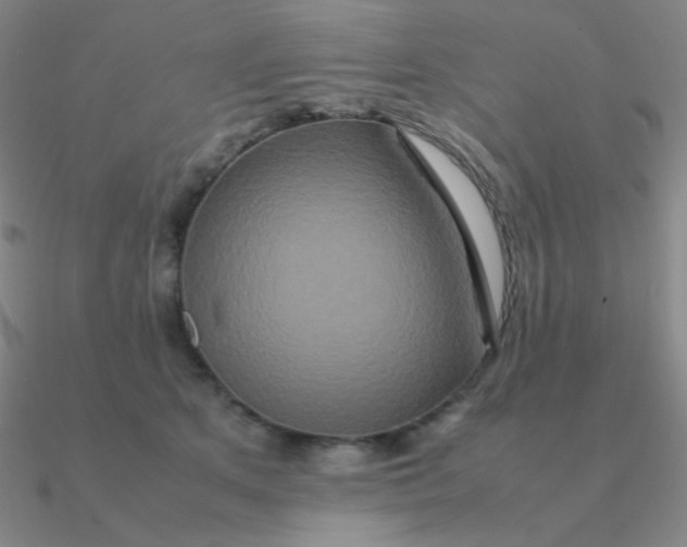 X0000090620513200708071227