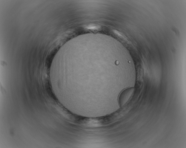 X0000090620518200708071227