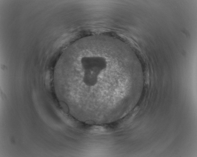 X0000090620519200708071227