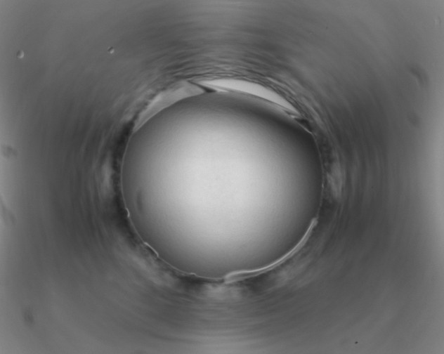 X0000090620520200708071227