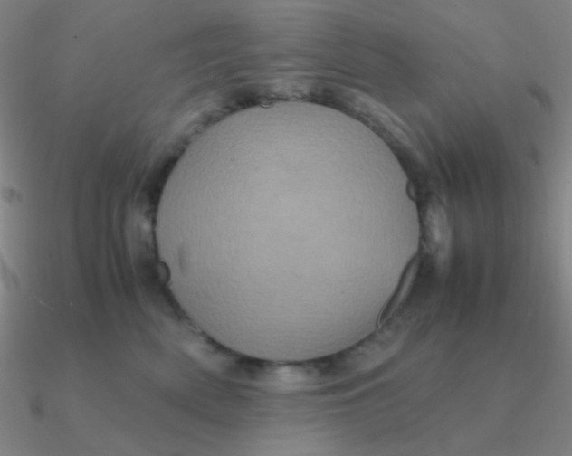 X0000090620522200708071227