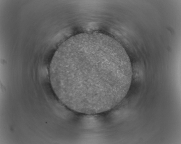 X0000090620523200708071227