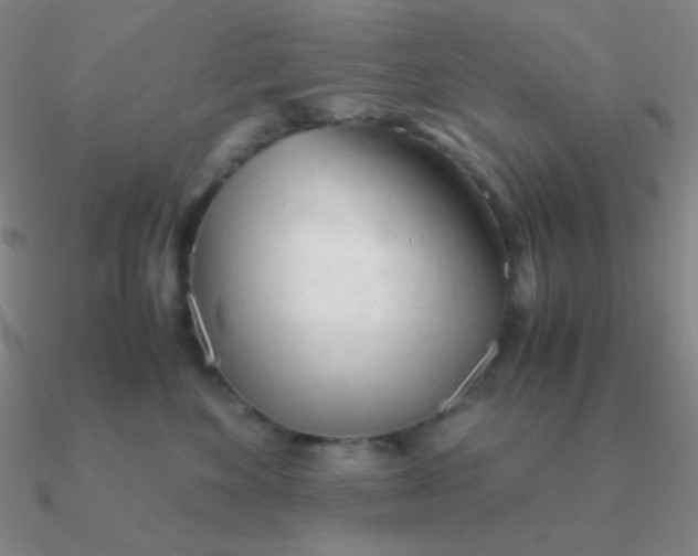 X0000090620524200708071227