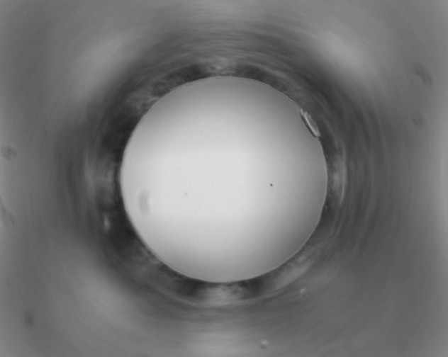 X0000090620525200708071227