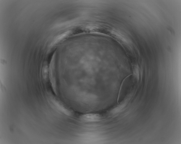 X0000090620526200708071227