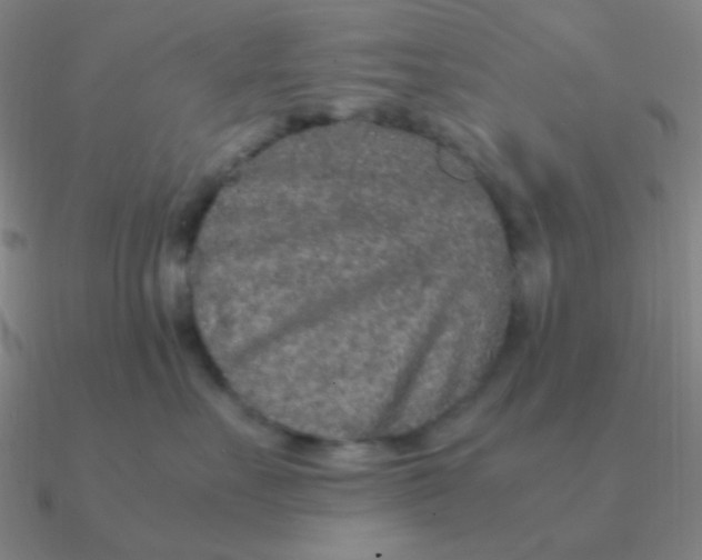 X0000090620527200708071227