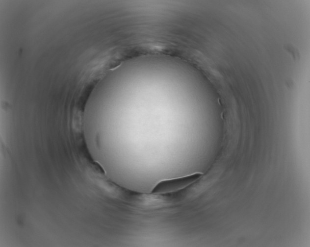 X0000090620528200708071227