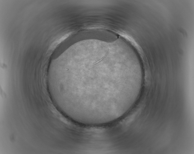 X0000090620529200708071226