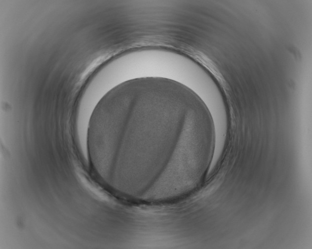 X0000090620530200708071226