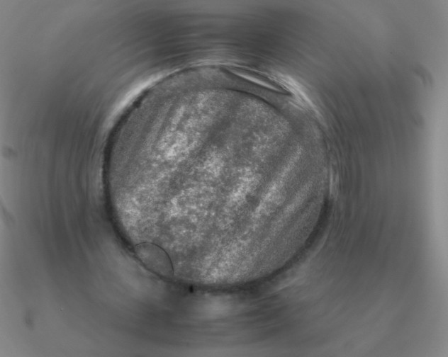 X0000090620531200708071226