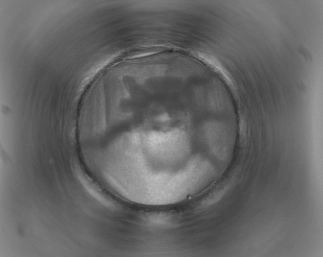 X0000090620533200708071226