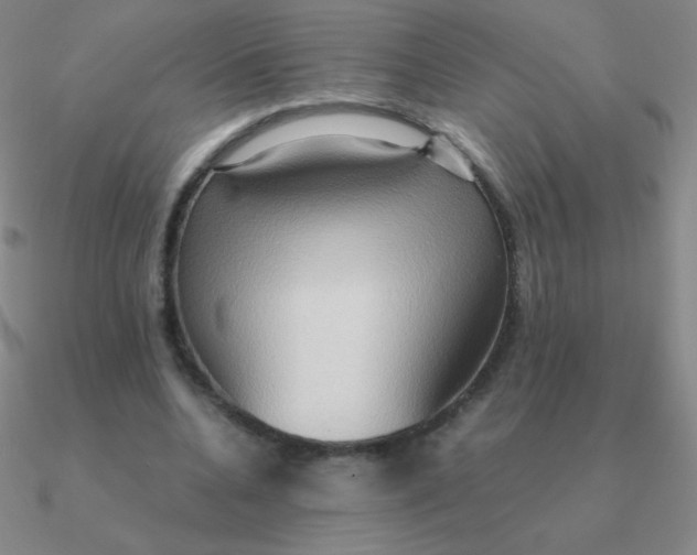 X0000090620536200708071227