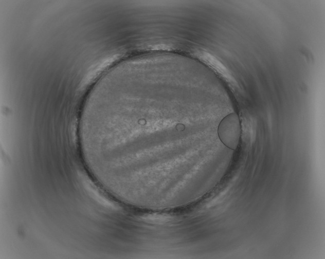 X0000090620537200708071227