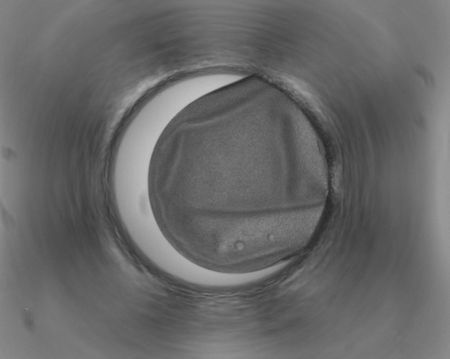 X0000090620540200708071227