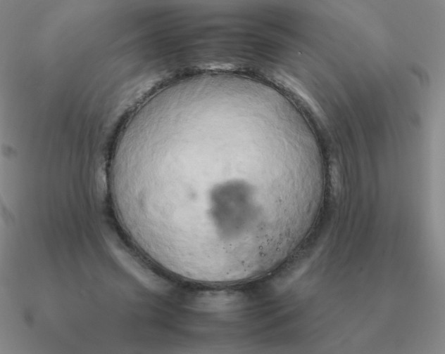 X0000090620541200708071227