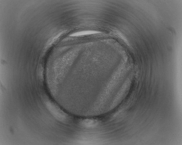 X0000090620542200708071227