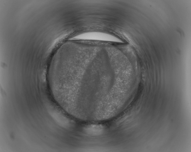 X0000090620543200708071227