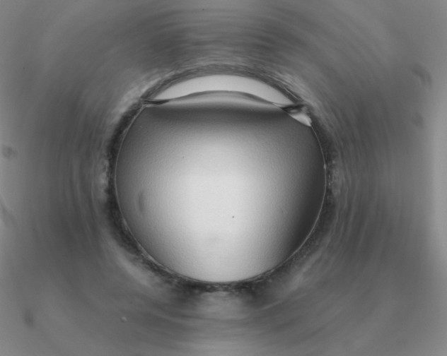 X0000090620544200708071227