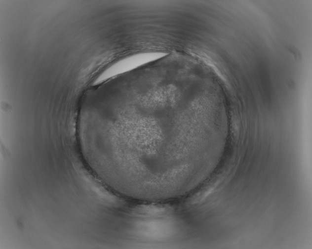 X0000090620545200708071227