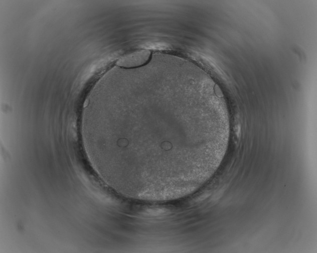 X0000090620547200708071227