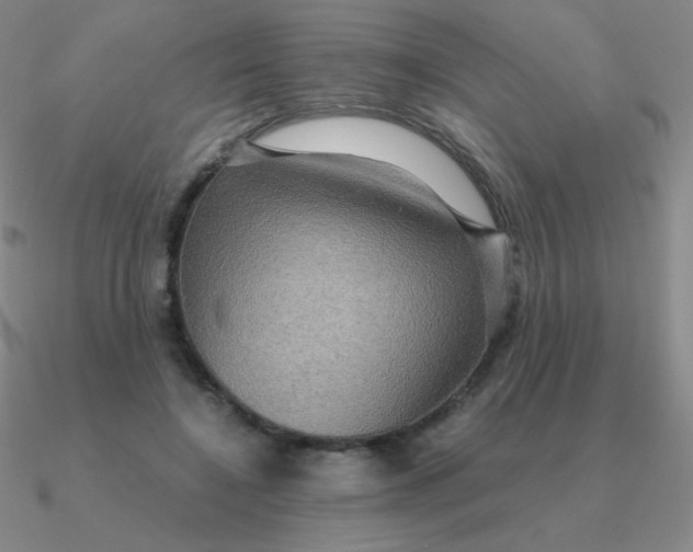 X0000090620548200708071227